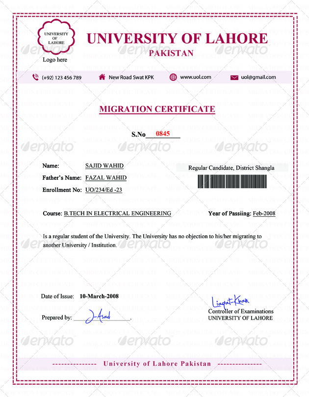 certificate migration amu Migration by Certificate Mehrodesigns  GraphicRiver